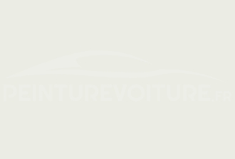 Code peinture Ssangyong WE/SS025 Grand White