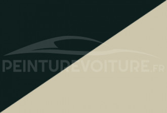 Code peinture Blmc-Rover WEF 1265 (hyf) + 1205 (nnx)