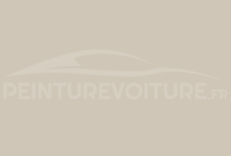 Code peinture Hyundai WF Grey
