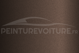 Code peinture Hyundai WS8 Golden Brown