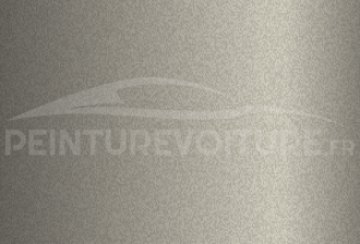 Code peinture Porsche X1Y Cuvee Silver Metallic