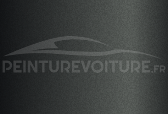 Code peinture Hyundai X8E Hunter Green