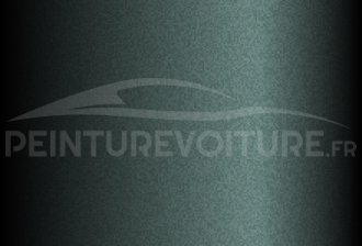 Code peinture Hyundai XE Olive Green