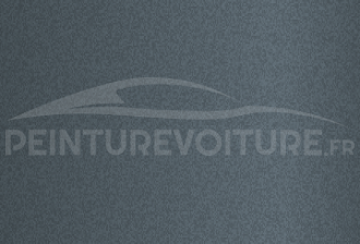 Code peinture Xev XEVE001 Grey Matt