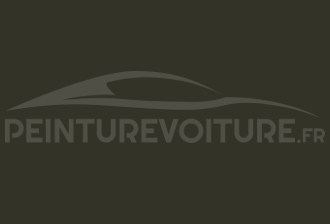 Code peinture Ford XKS Grey Olive