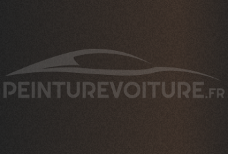 Code peinture Hyundai XM8 Ebony Brown