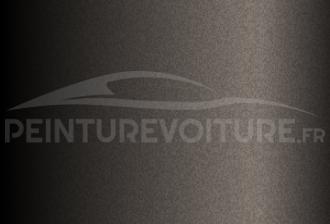Code peinture Hyundai XN3 Moon Rock Brown