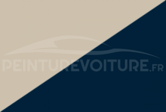 Code peinture Renault XNG D16 + K44