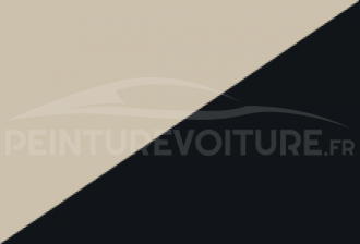 Code peinture Renault XNN Gne + D16