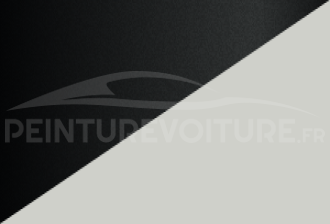Code peinture Renault XNY Qm1 + Gne