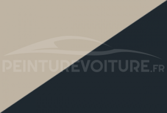 Code peinture Renault XPC Rpe + D16