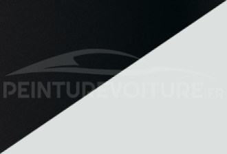 Code peinture Renault XPU Gne + Qnj