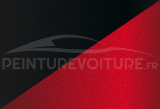 Code peinture Renault XPW Nnp + Gne