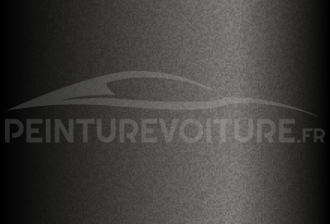 Code peinture Hyundai XQ Loam Grey