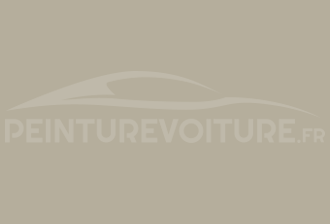 Code peinture Ford XSC1609 Grey