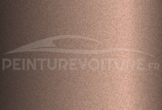 Code peinture Ford XSC2164 Antique Bronze