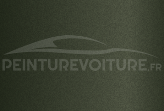 Code peinture Ford XSC564 Evergreen