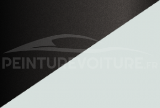 Code peinture Renault XTK 369 + 676