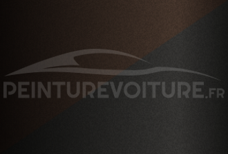 Code peinture Renault XTM D17 + 676