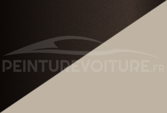 Code peinture Renault XTN D17 + D16