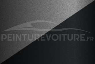 Code peinture Renault XUP Kng + Gne
