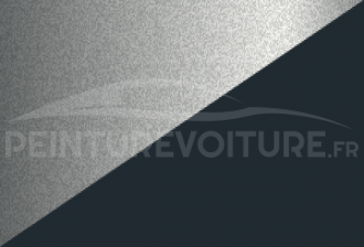 Code peinture Renault XVS D69 + Rpe