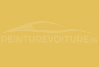 Code peinture Mitsubishi Y04/11304 Yellow