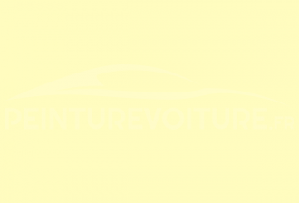 Code peinture Honda Y21 Spring Yellow