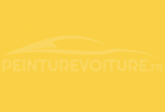 Code peinture Mitsubishi Y21/CMY10021 Sunflower Yellow