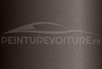 Code peinture Hyundai Y2B Earthy Bronze