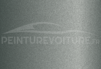 Code peinture Hyundai Y2G Celadon Gray