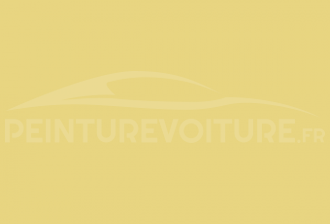 Code peinture Suzuki Moto Y4L Pale Yellow