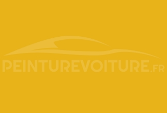 Code peinture Proton Y78/16778 Royal Yellow
