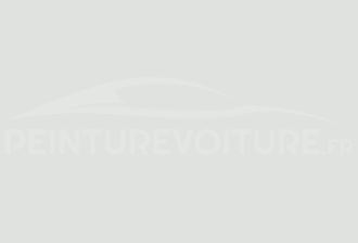 Code peinture Ford (Usa) Y8 White