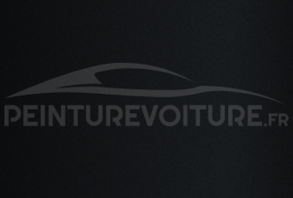 Code peinture Suzuki Moto YAU Dark Grey