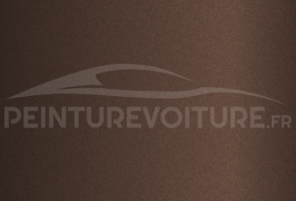 Code peinture Hyundai YBM Earthy Brass Matt