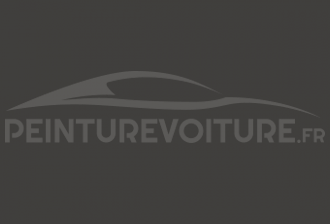 Code peinture Ford YBWAXXG Medium Platinum Gray