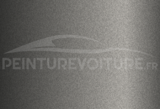 Code peinture Ford YBWC Medium Platinum
