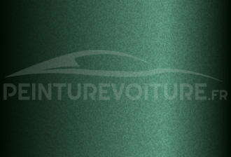 Code peinture Hyundai YC Jungle Green