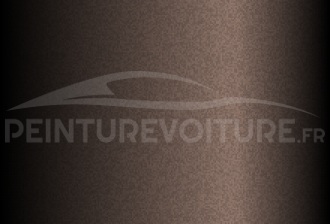 Code peinture Hyundai YN6 Tan Brown