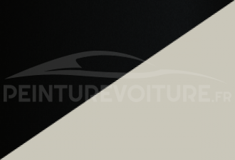 Code peinture Renault YNP Gne + Qnw