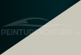 Code peinture Renault YNQ Qnw + Dpz