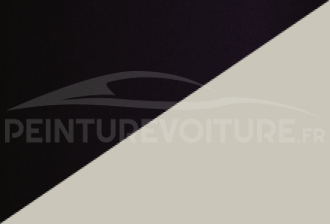 Code peinture Renault YPN Gng + Qnw
