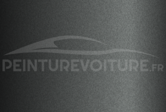 Code peinture Suzuki Moto YPT Thunder Gray #2
