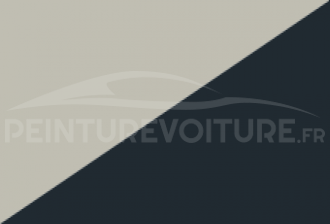 Code peinture Renault YUD Qnw + Rpe