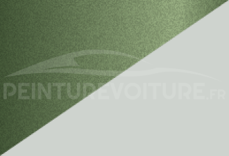 Code peinture Renault YVA Dqf + 369