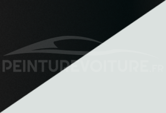 Code peinture Renault YWS 369 + Gne