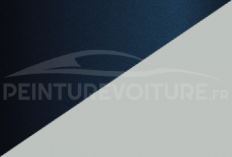 Code peinture Renault YWV 369 + Rre