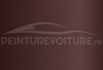 Code peinture Hyundai YX Reddish Brown