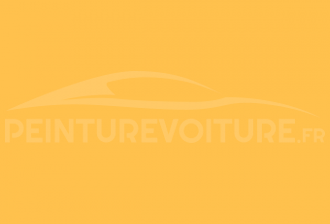 Code peinture Mitsubishi YY Tiger Yellow